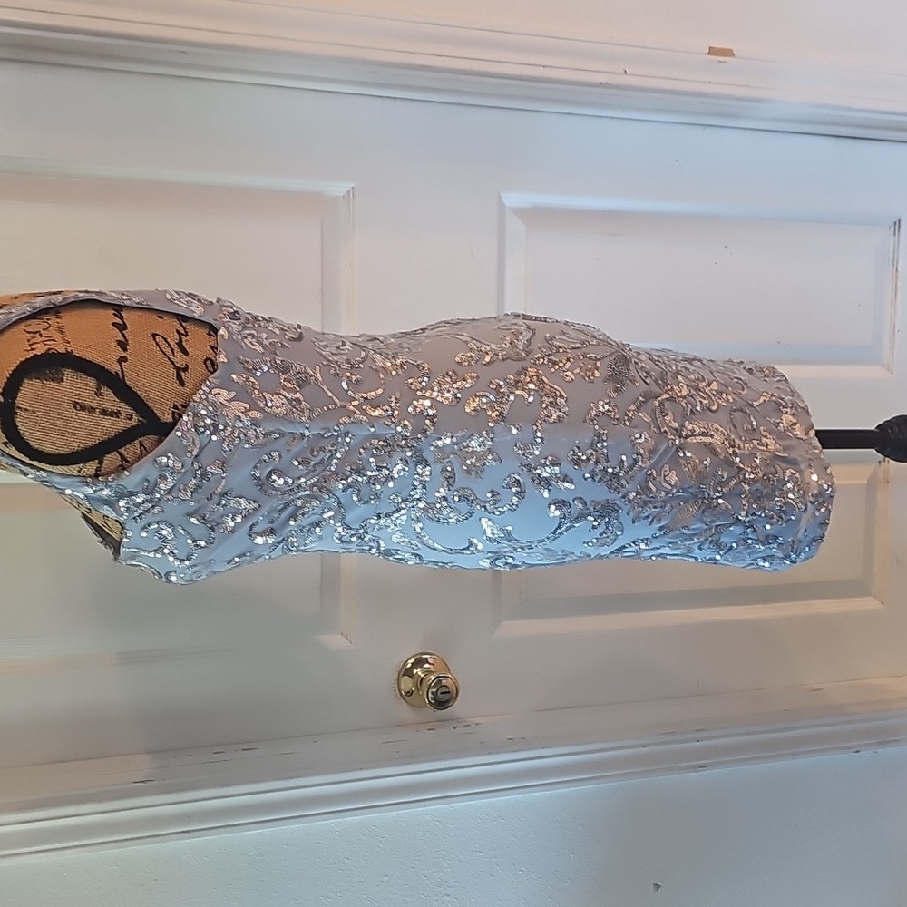 Sparkling Silver Sequin Mini Dress - Picture 4 of 7